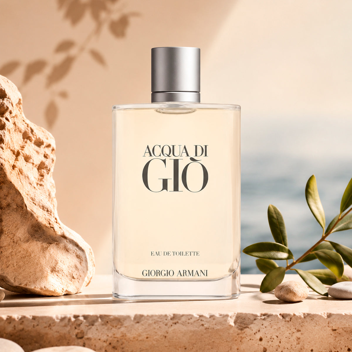 Giorgio Armani Acqua Di Gio Eau de Toilette 3.3oz For Men