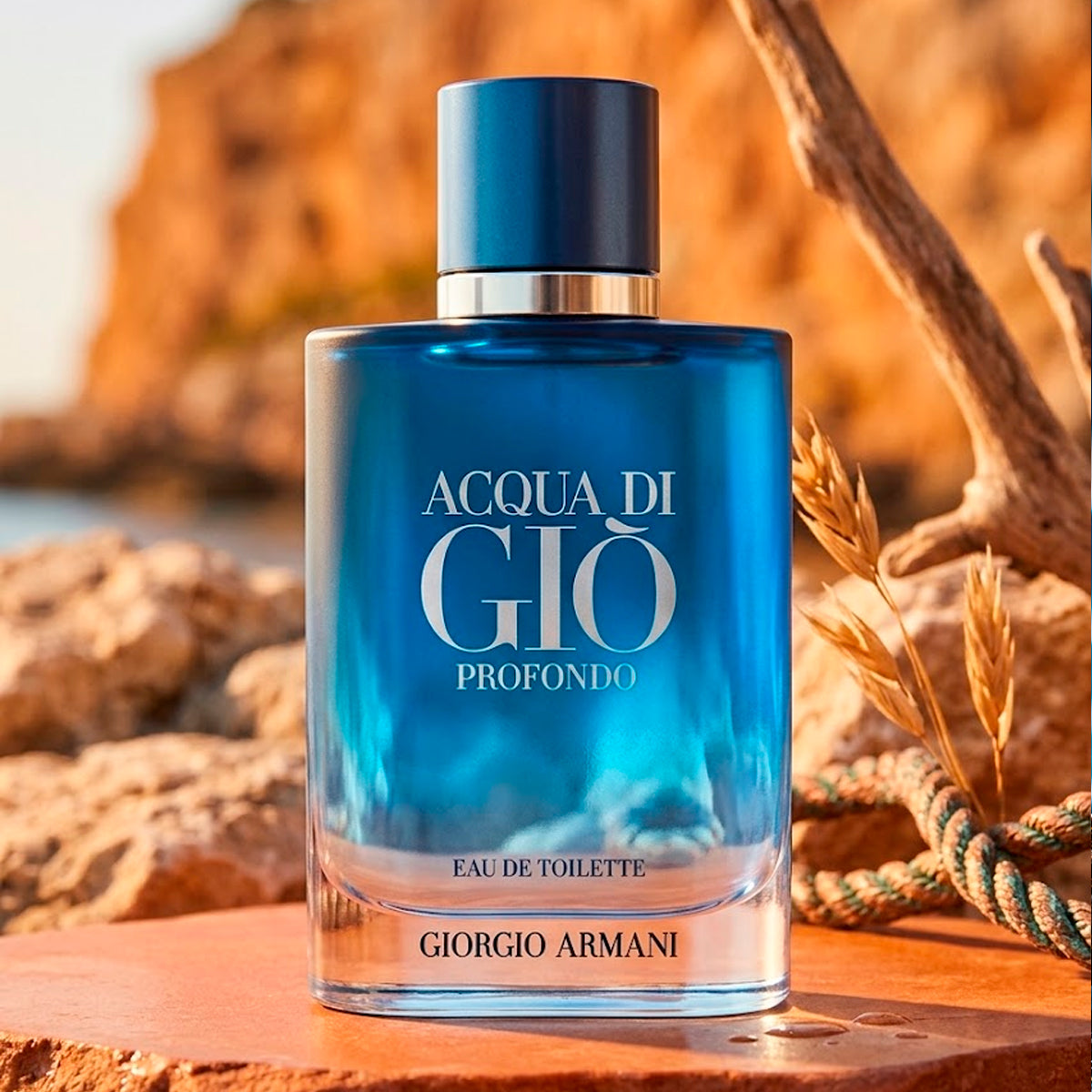 Giorgio Armani Acqua Di Gio Profondo Eau de Toilette 3.4oz For Men