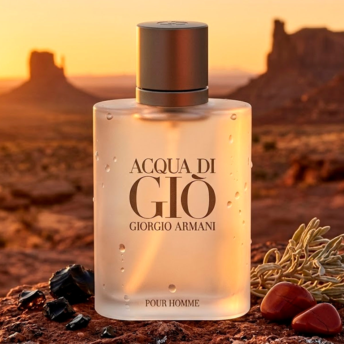 Giorgio Armani Acqua Di Gio Eau de Toilette 6.7oz For Men – I Love