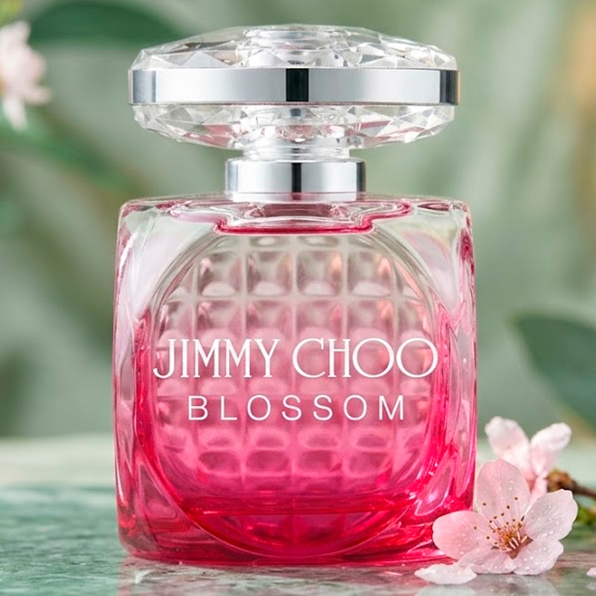 Jimmy Choo Blossom Eau de Parfum 3.4oz For Women