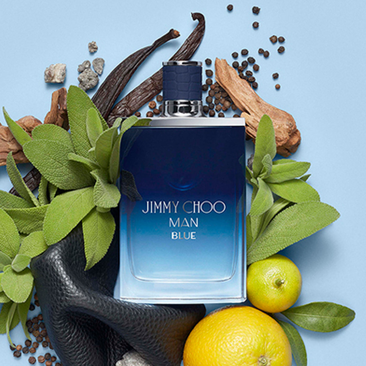 Jimmy Choo Blue Eau de Toilette 3.4oz For Men